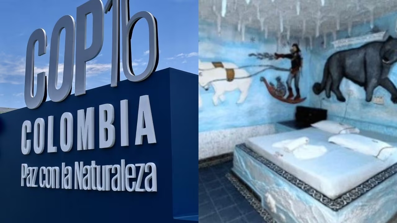 Los moteles en la COP 16, una experiencia inolvidable